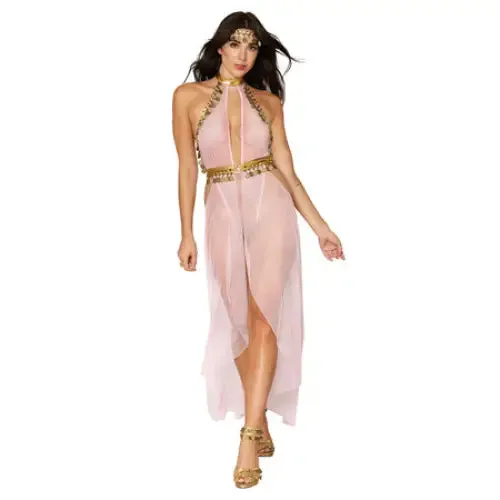 Dreamgirl International Vibrators Dreamgirl Snake Charmer Costume Skirted Mesh Teddy With Gold Disc Accents Headpiece Pink OS Dreamgirl International Vibrators Dreamgirl Snake Charmer Costume Skirted Mesh Teddy With Gold Disc Accents Headpiece Pink OS