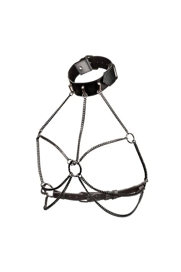 Cal Exotics Euphoria Collection Multi Chain Collar Harness Plus Size Black Cal Exotics Plus Size Cal Exotics Euphoria Collection Multi Chain Collar Harness Plus Size Black Cal Exotics Plus Size