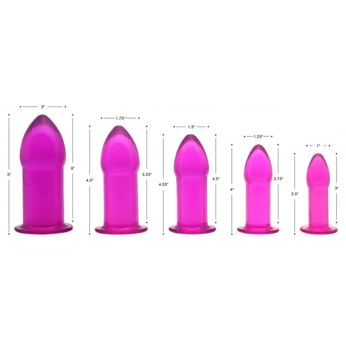 Trinity Vibes Anal Purple 5pc Anal Trainer Kit
