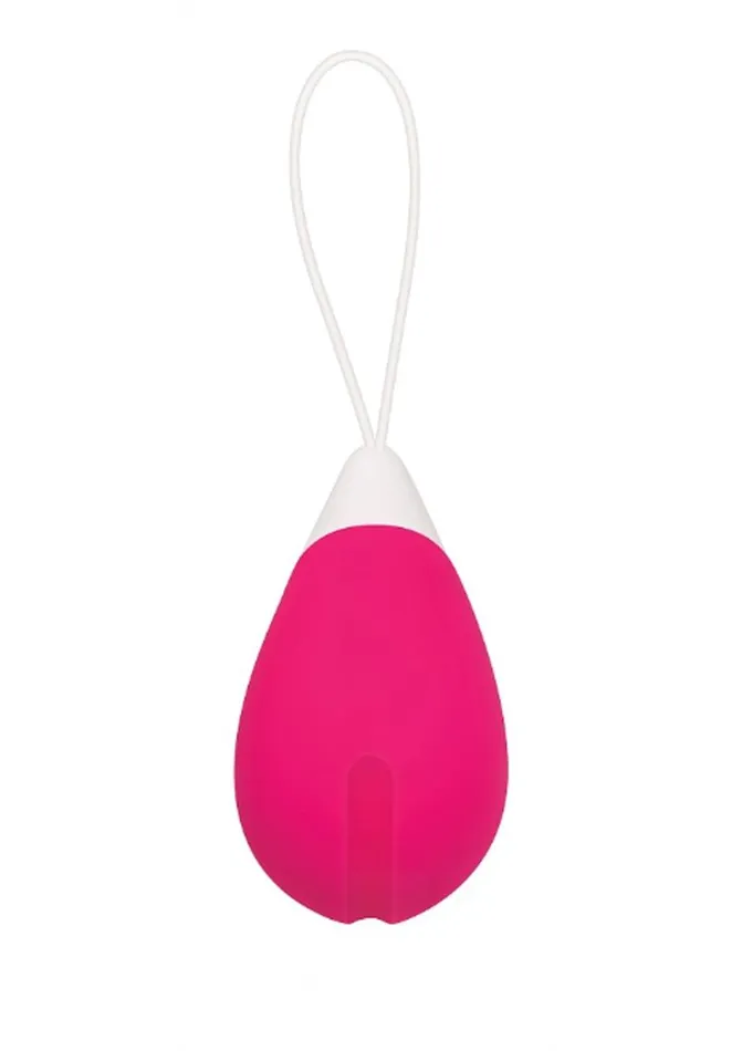 Female Sex Toys Evolved Remote Control Rechargeable Silicone Egg Vibrator
