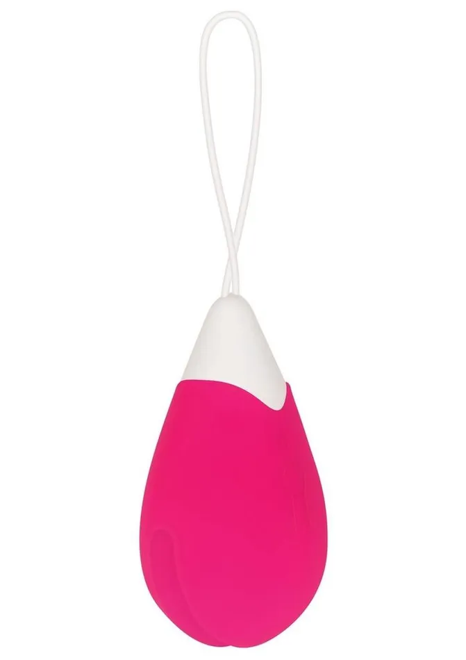 Female Sex Toys Evolved Remote Control Rechargeable Silicone Egg Vibrator